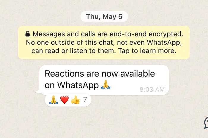 WhatsApp traz reações com emojis / Fonte: WhatsApp Blog