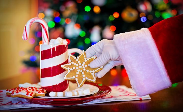 O que cozinhar para o Natal?  TOP 5 melhores pratos 